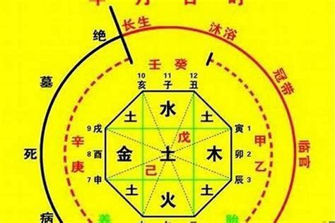 喜用神金意思|八字喜用神是什么 八字喜用神如何确定